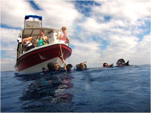 Snorkeleando en Vallarta